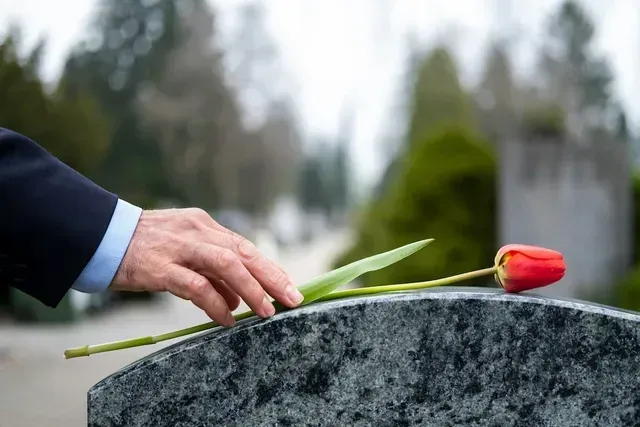 Hand placing a red tulip on a gravestone in a cemetery
