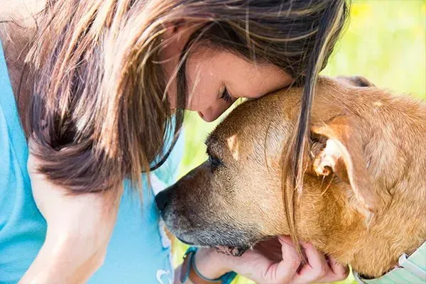 Woman gently touching foreheads with a brown dog outdoors