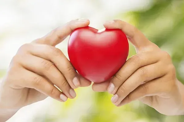 Hands holding a red heart shape against a soft green background