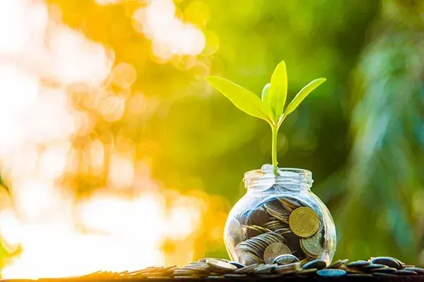 Coins in a glass jar with a green sprout, symbolizing savings and growth
