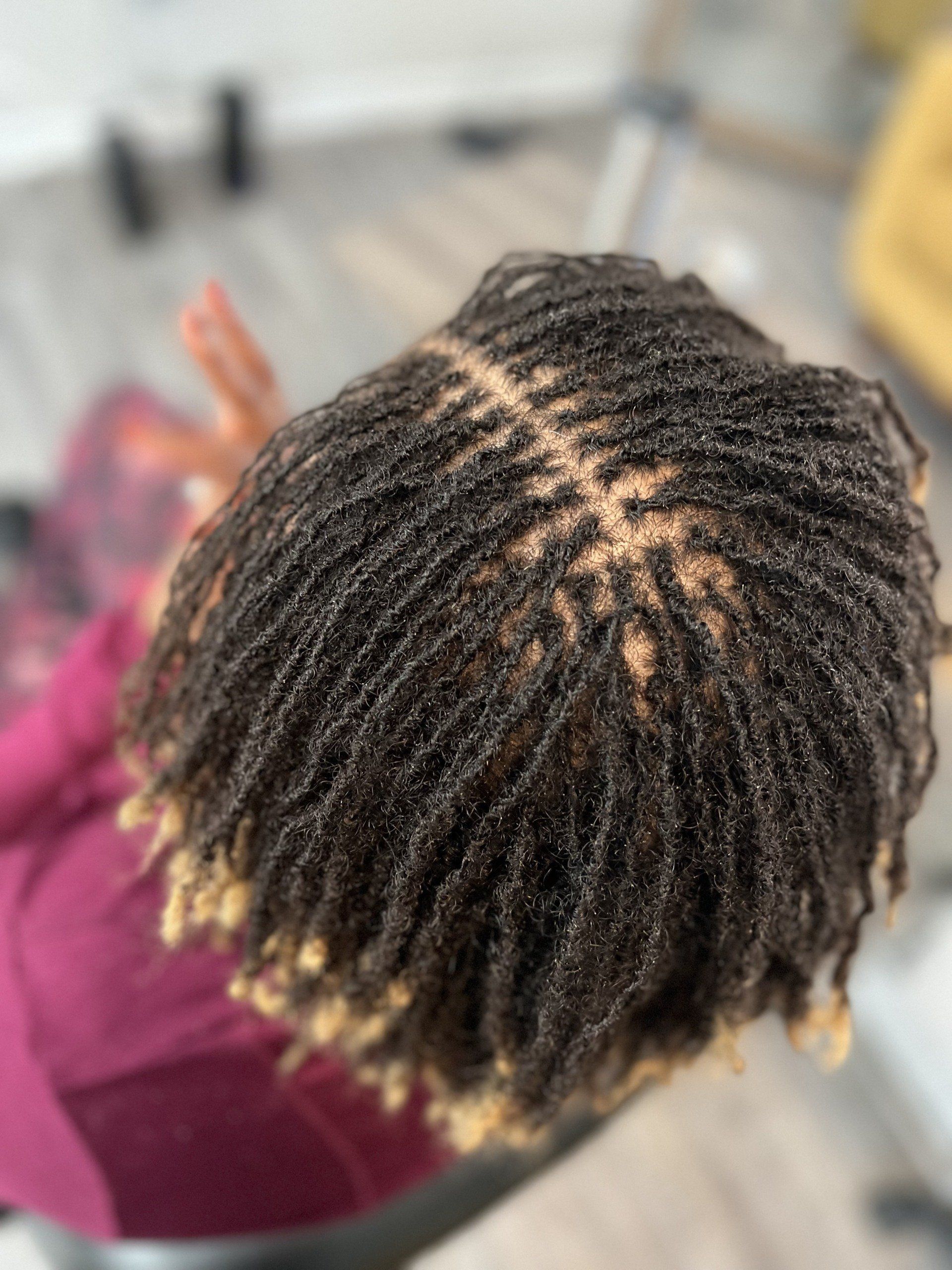 Best Loctician in Gastonia, NC | Budding Locs