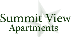 SummitView Logo