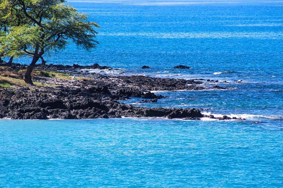 Clear Blue Color of the Ocean