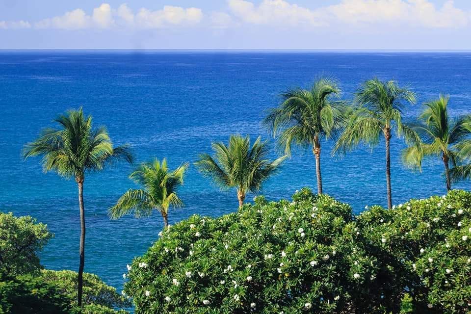 Stunning View of the Ocean