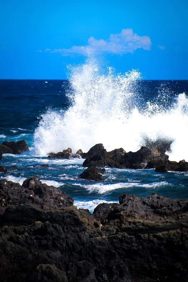 Captivating Photo of Ocean Wave