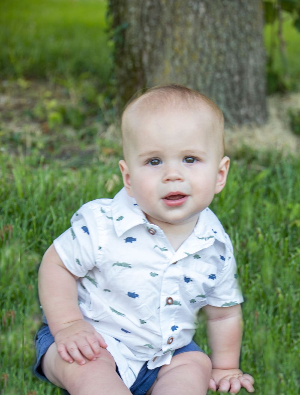 A baby is sitting on the grass in front of a tree.