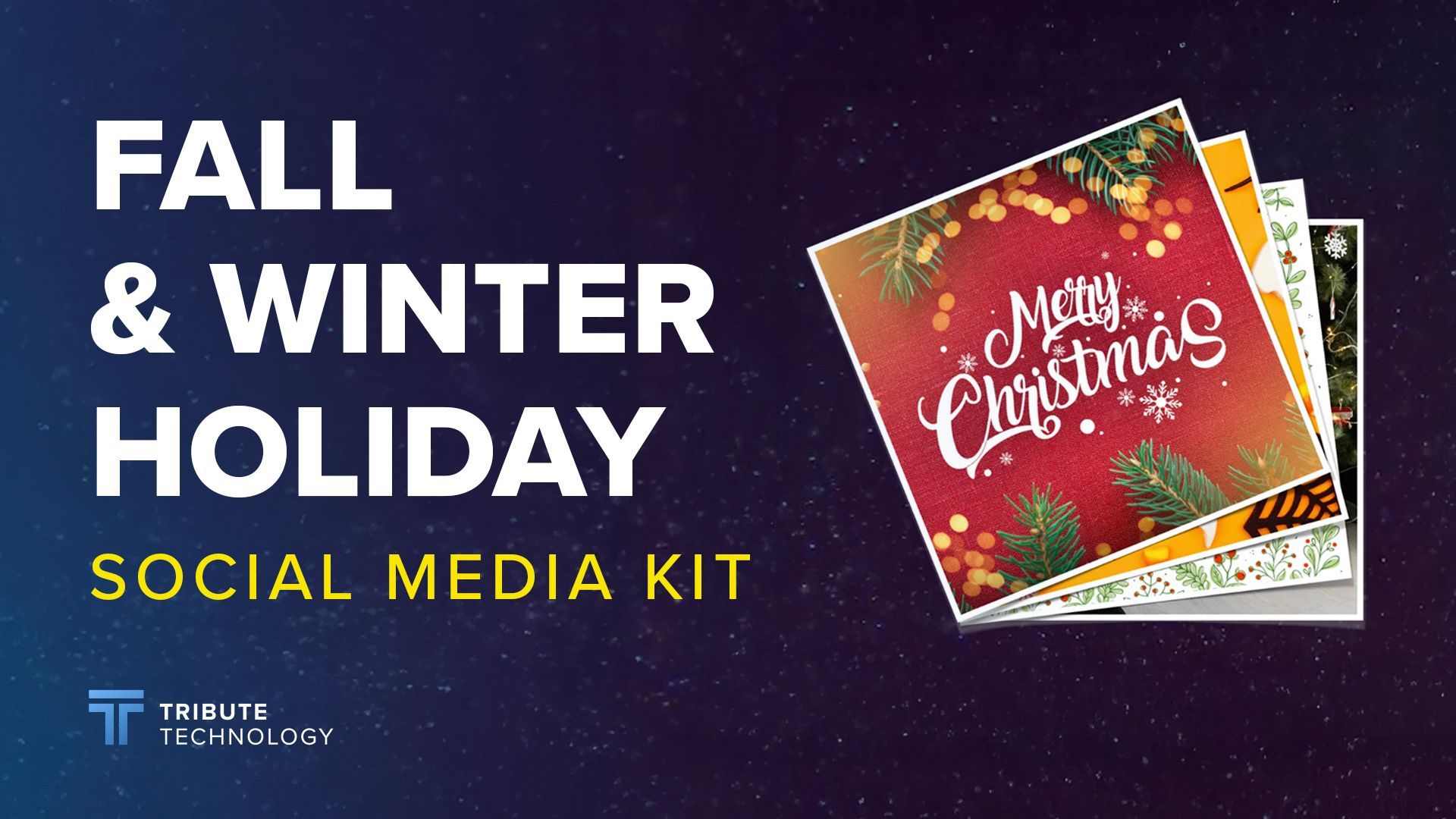 A book titled 12 things to look for in a website