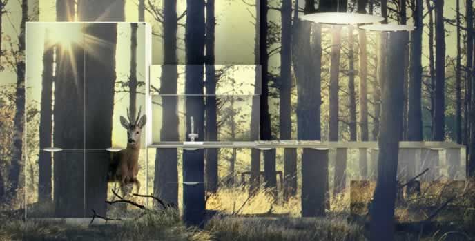 Un cervo è in piedi nel mezzo di una foresta.