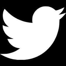 White Twitter logo, a stylized bird facing right with wings outstretched.