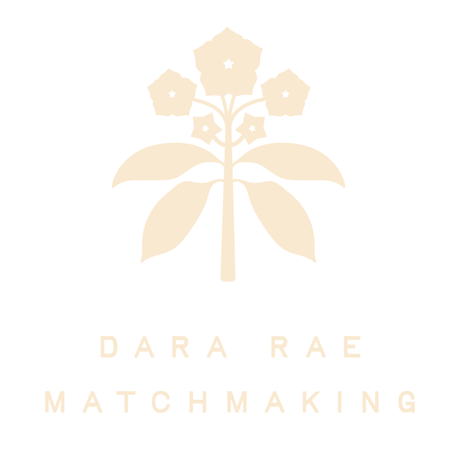 The logo for dara rae matchmaking is a tree with flowers and leaves.