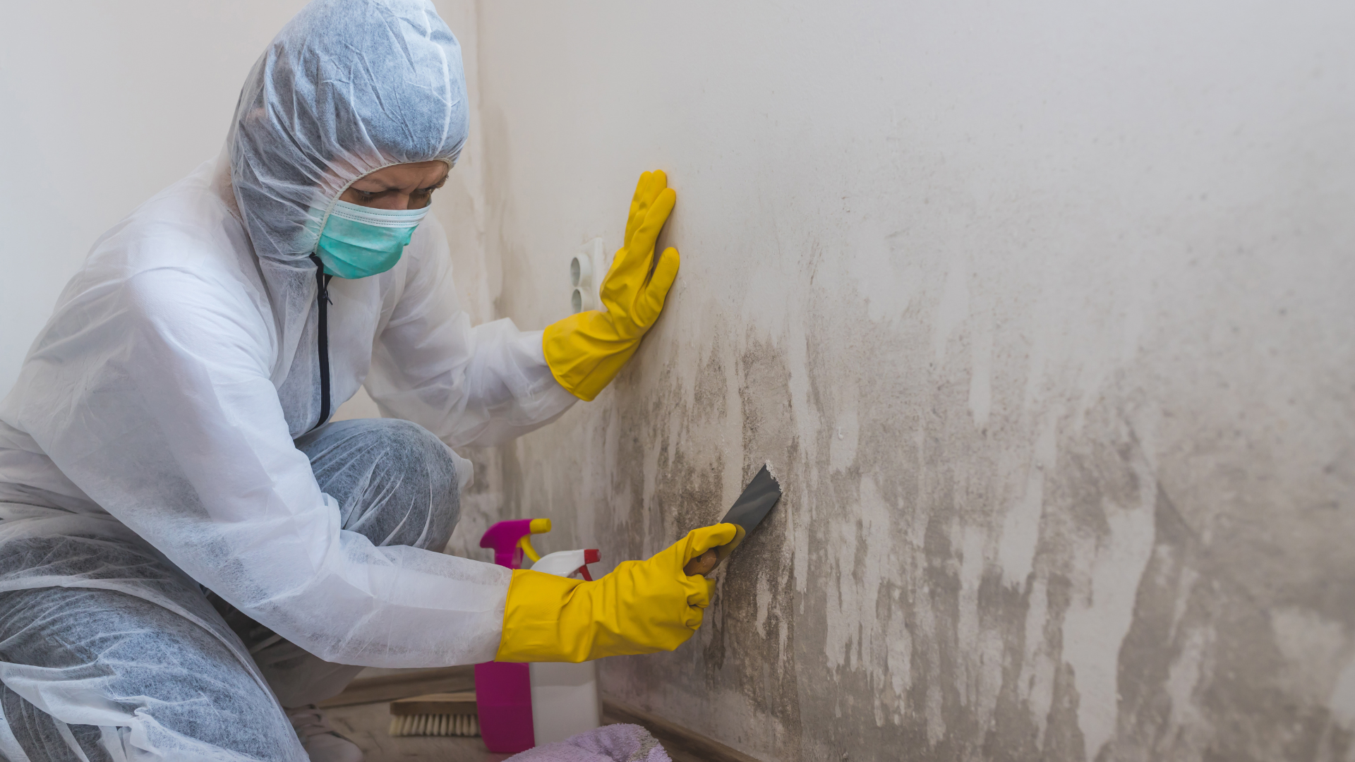 Person in protective suit scrapes mold from a wall.