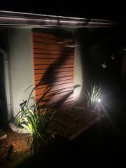 Exterior nighttime shot of a wooden fence illuminated by spotlights and garden plants.