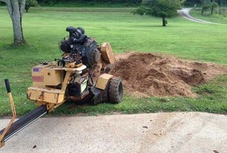 Tree Stump Removal | Tree Surgeon Wirral