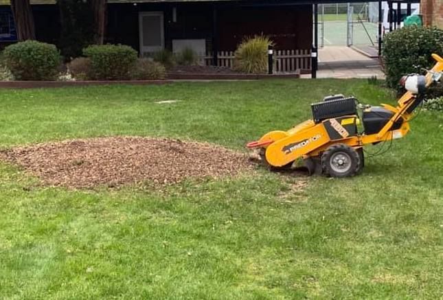 Stump and Tree Removal Service | Tree Surgeons Wirral