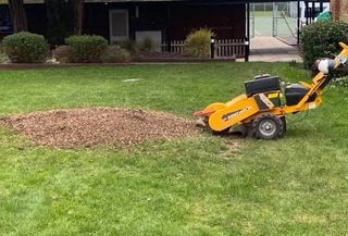 Stump Removal Near Me | Wirral Tree Surgeons