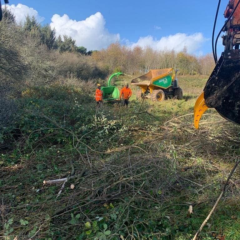Commercial Site Clearance | The Tree Surgeons Wirral
