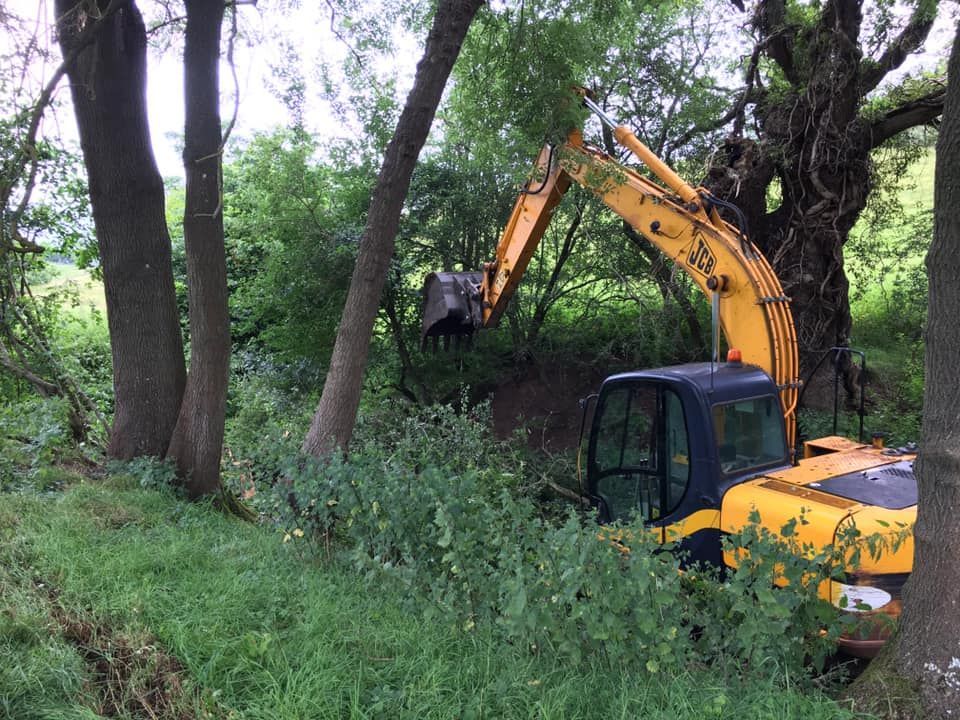 Tree Site Clearance | The Tree Surgeons Wirral