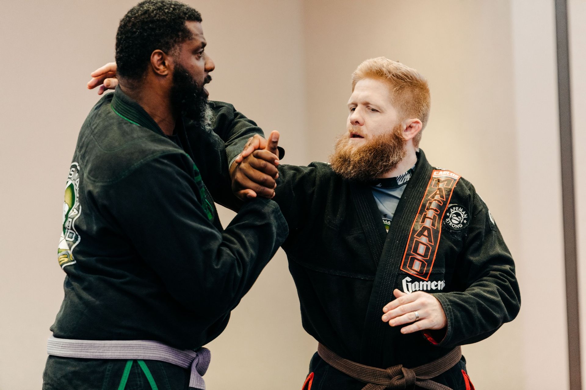adult martial arts