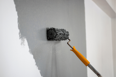 painter raymore mo