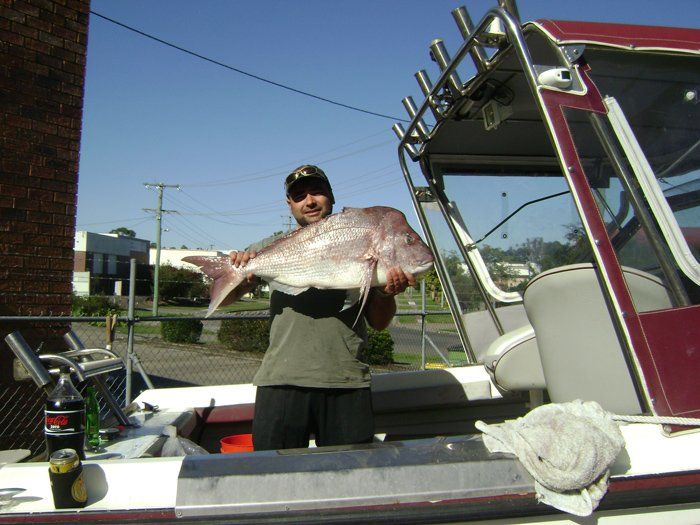 Northern canvas image