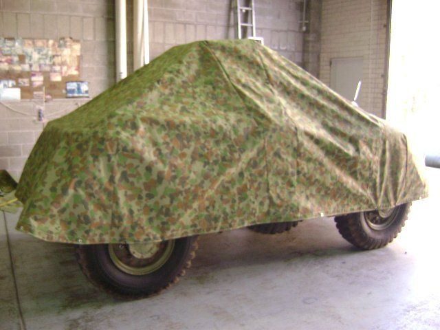 Northern canvas image