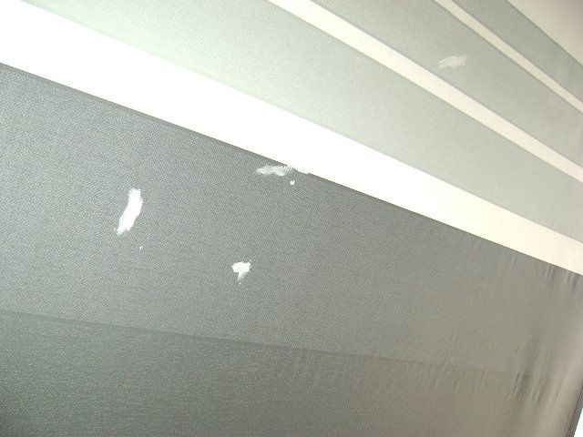 Northern canvas image