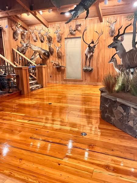 Wooden-floored room with taxidermied animal heads on wood-paneled walls. A staircase is visible on the left.