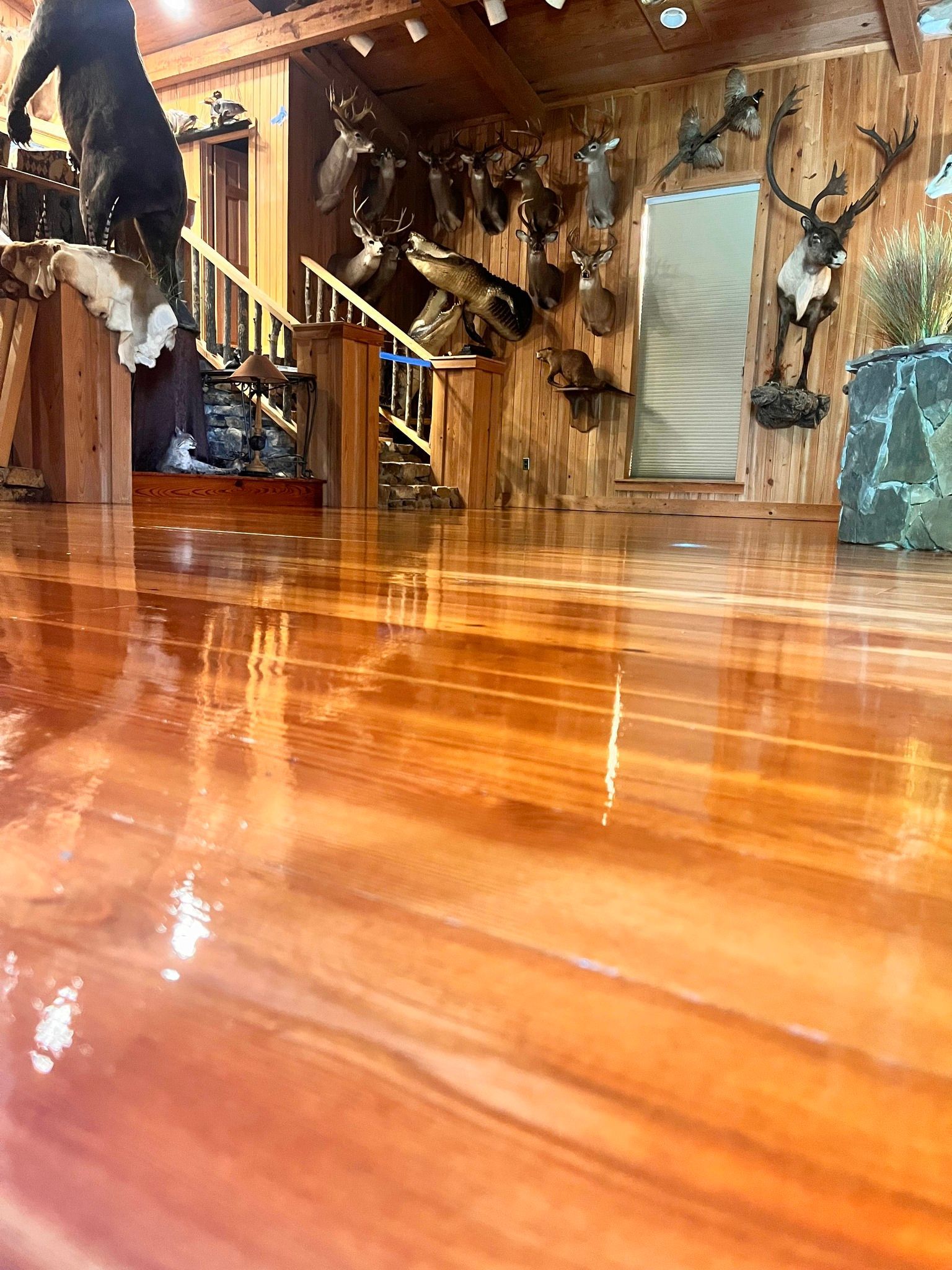 Glossy, orange-toned wooden floor reflecting the room's interior. The room features wood paneling,