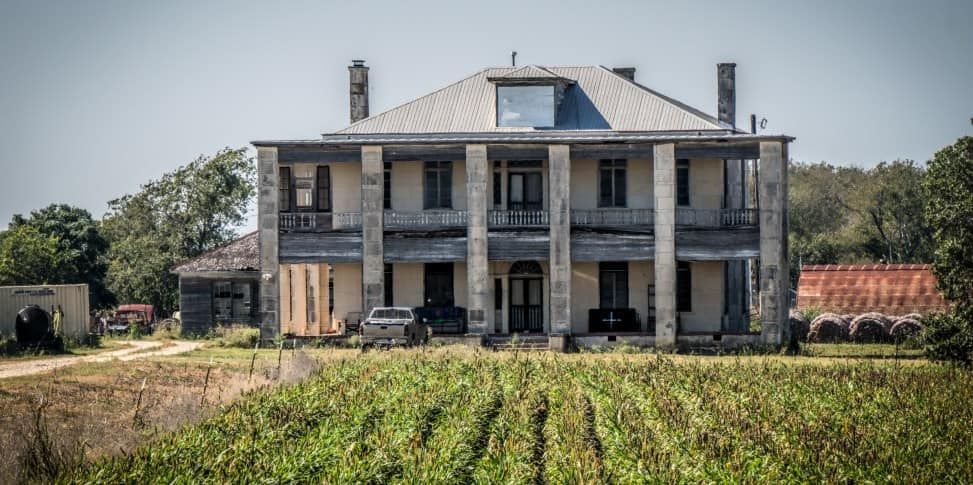 A large house is sitting in the middle of a vineyard.