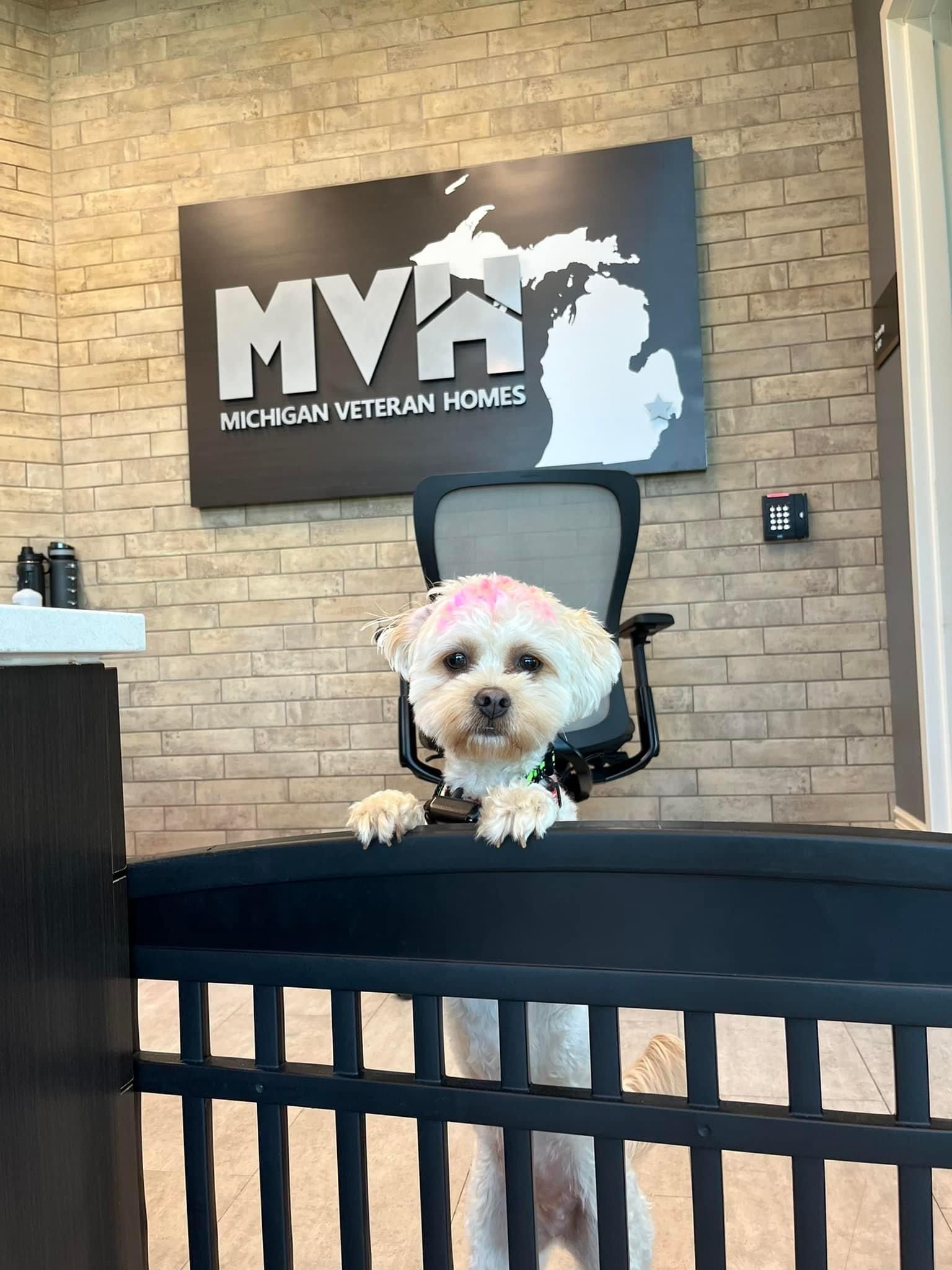 A small dog sitting in front of a mvh sign