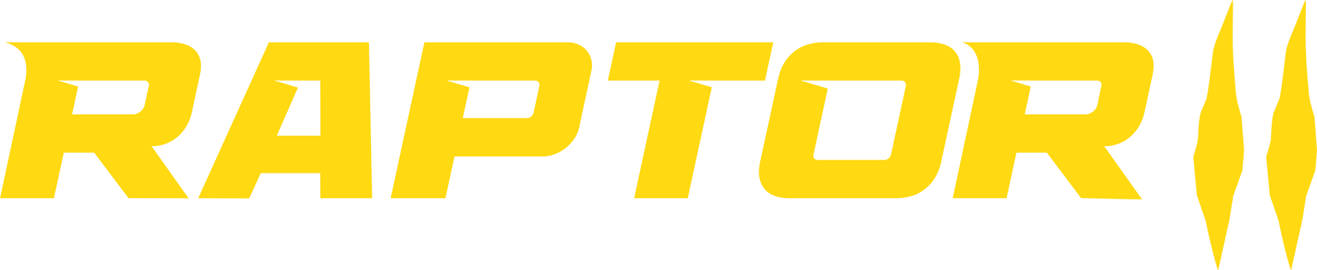 Raptor IV Heavy-Duty Commercial Paddle Sweep