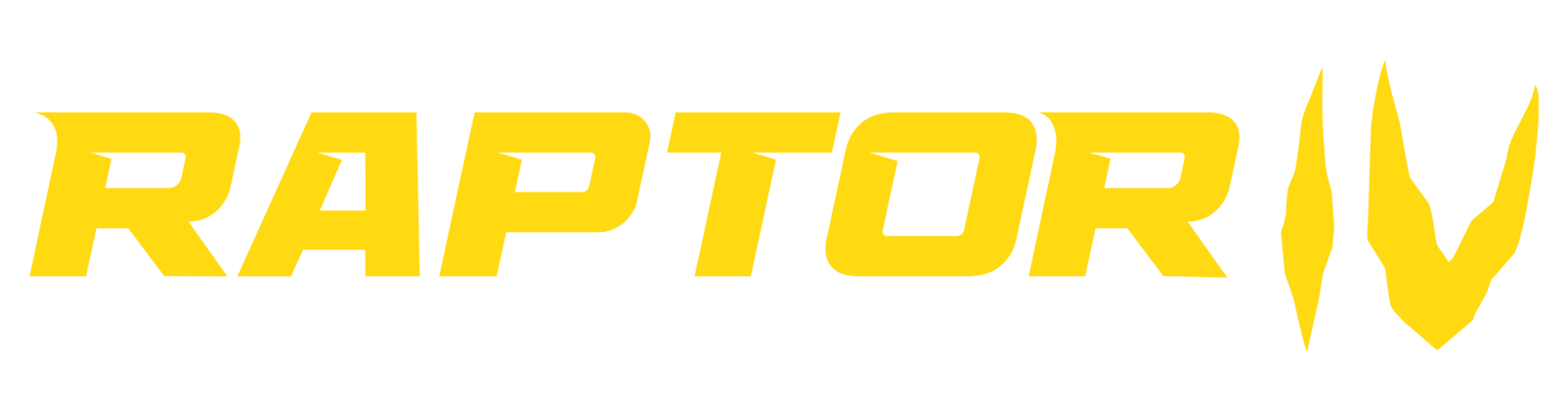 Raptor IV Heavy-Duty Commercial Paddle Sweep