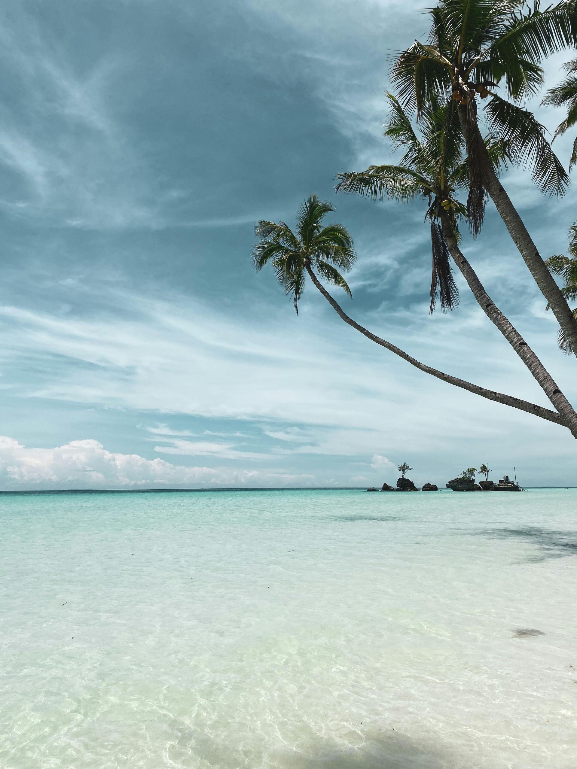 Clear turquoise water meets a pale blue sky; palm trees frame the beach.