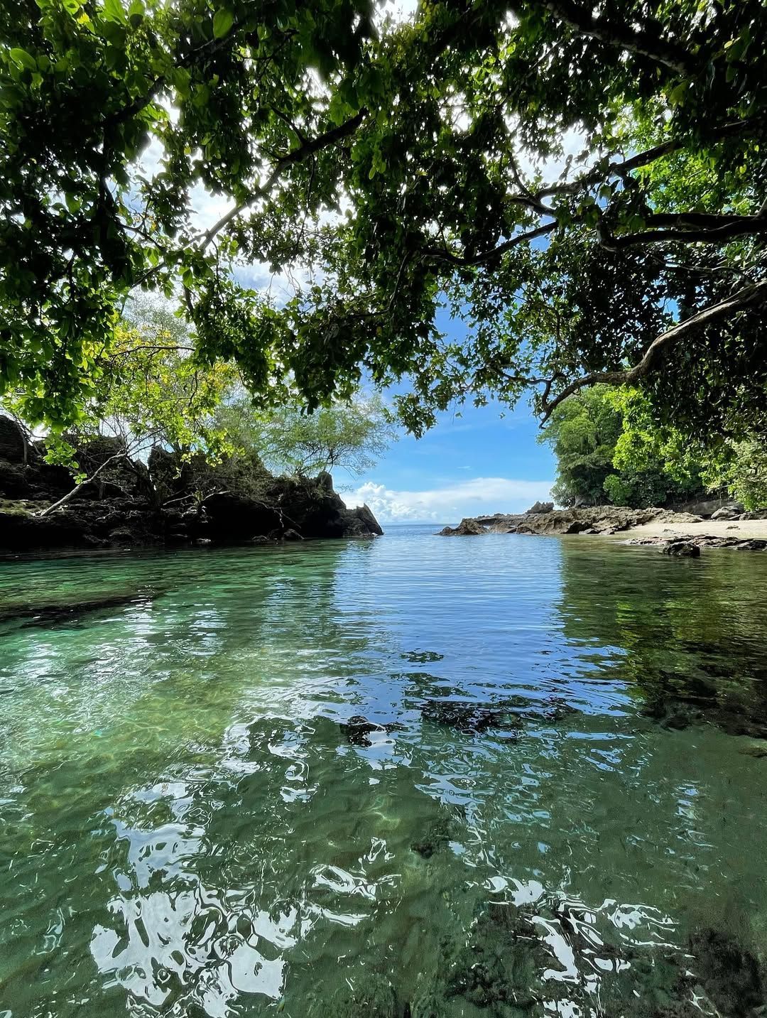 Calm turquoise water flows between rocky shores, leading to a sunny beach under a canopy of green leaves.