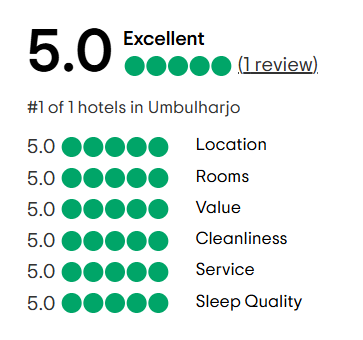 A tripadvisor review with a traveler 's choice award.