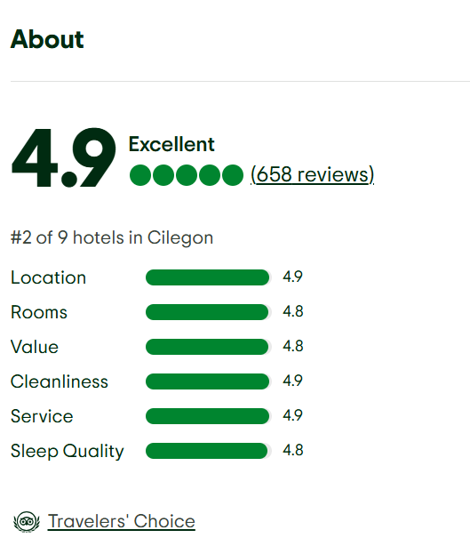 A tripadvisor review with a traveler 's choice award.