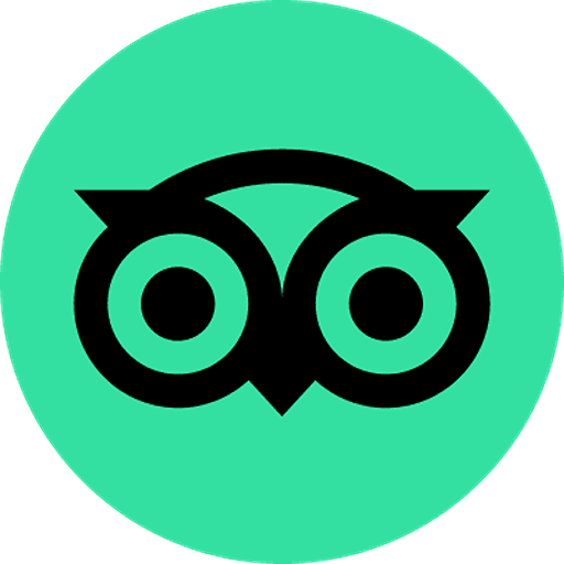 A green circle with a black owl on it