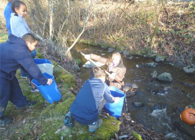A group of Montessori  children are standing next to a stream Raising salmon from eggs