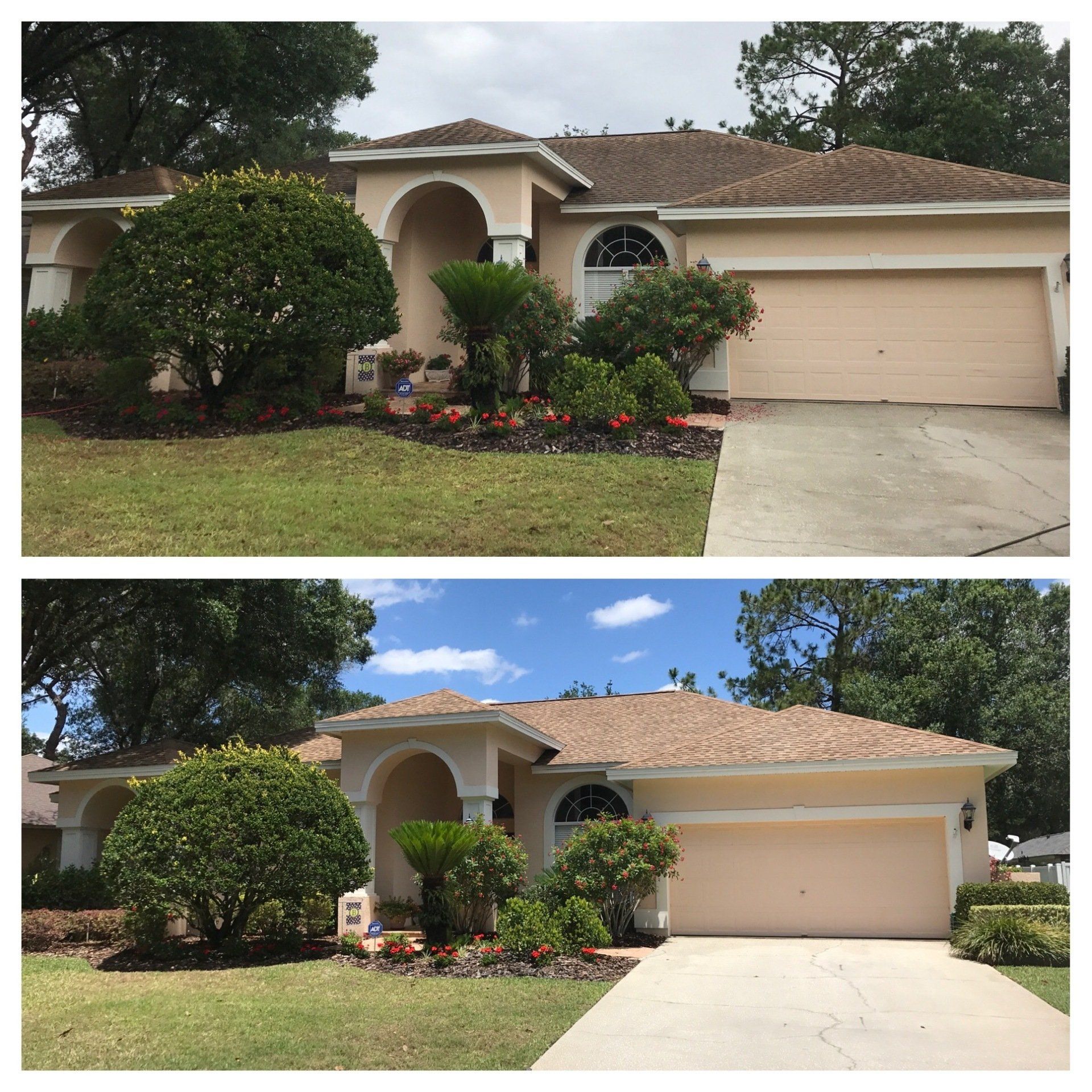 Roof Cleaning | Tampa, FL | First Response Pressure Wash
