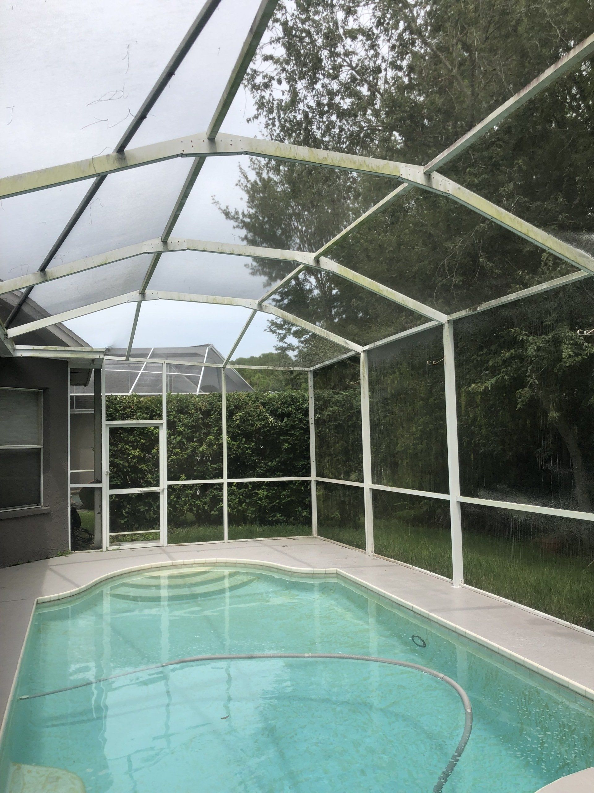 Dirty Pool cage | Tampa, FL | First Response Pressure Wash