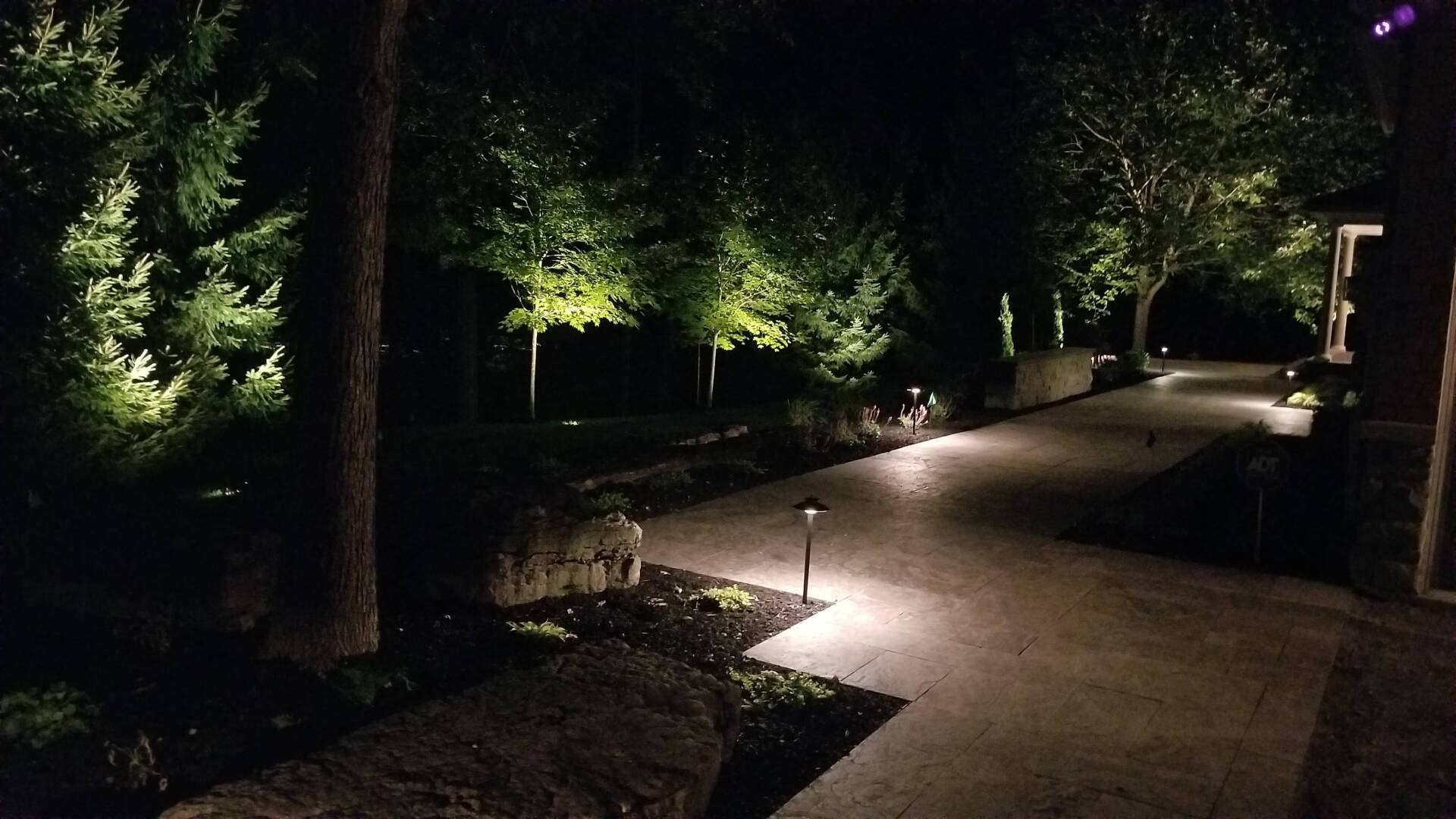 A driveway is lit up at night with trees in the background.