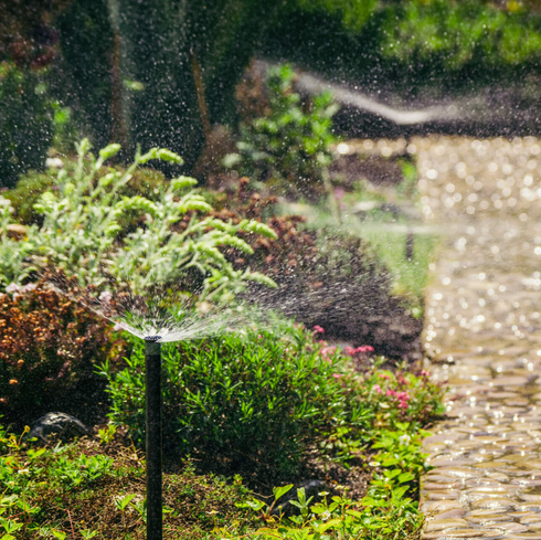 A sprinkler is spraying water on a lush green garden.