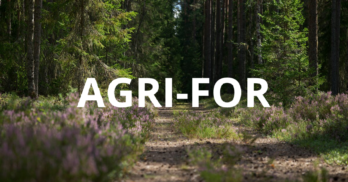 AGRI-FOR | Studio agroforestale e ambientale