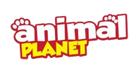 logo animal planet