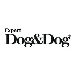 Expert Dog&Dog-LOGO