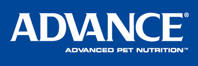 logo advance