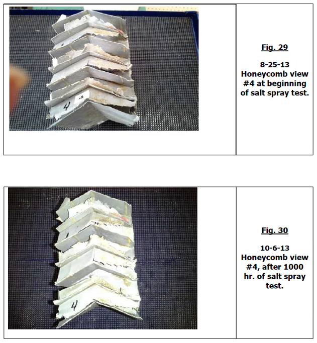 Honeycomb View #4 — Virginia Beach, VA — Hybrid Coatings, LLC