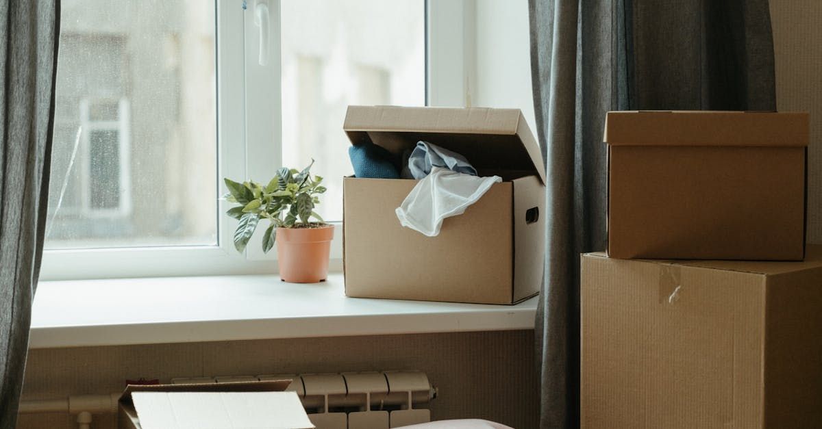 A cardboard box is sitting on a window sill next to a potted plant.