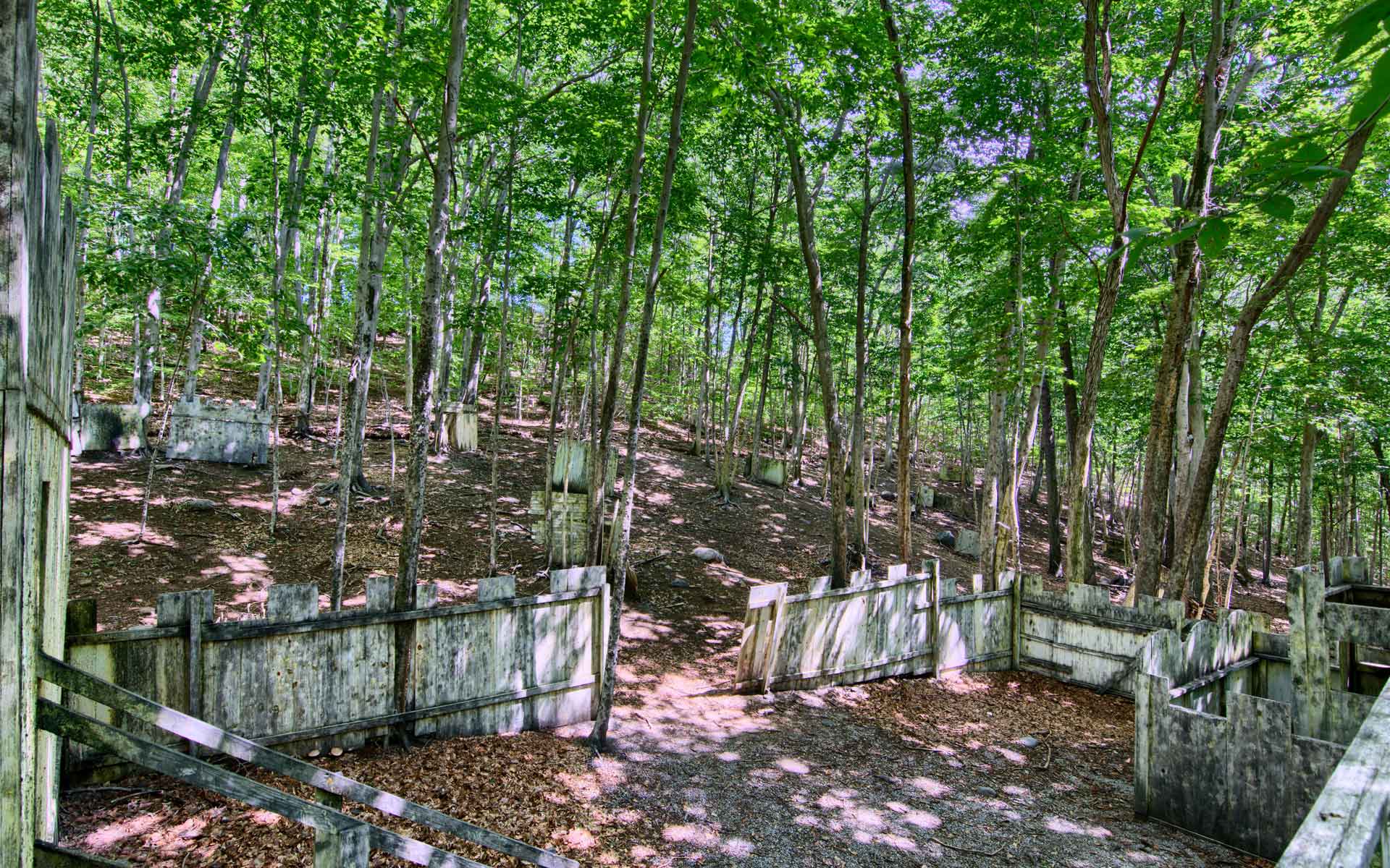 Paintball arena with weathered wooden fortifications in a wooded area.