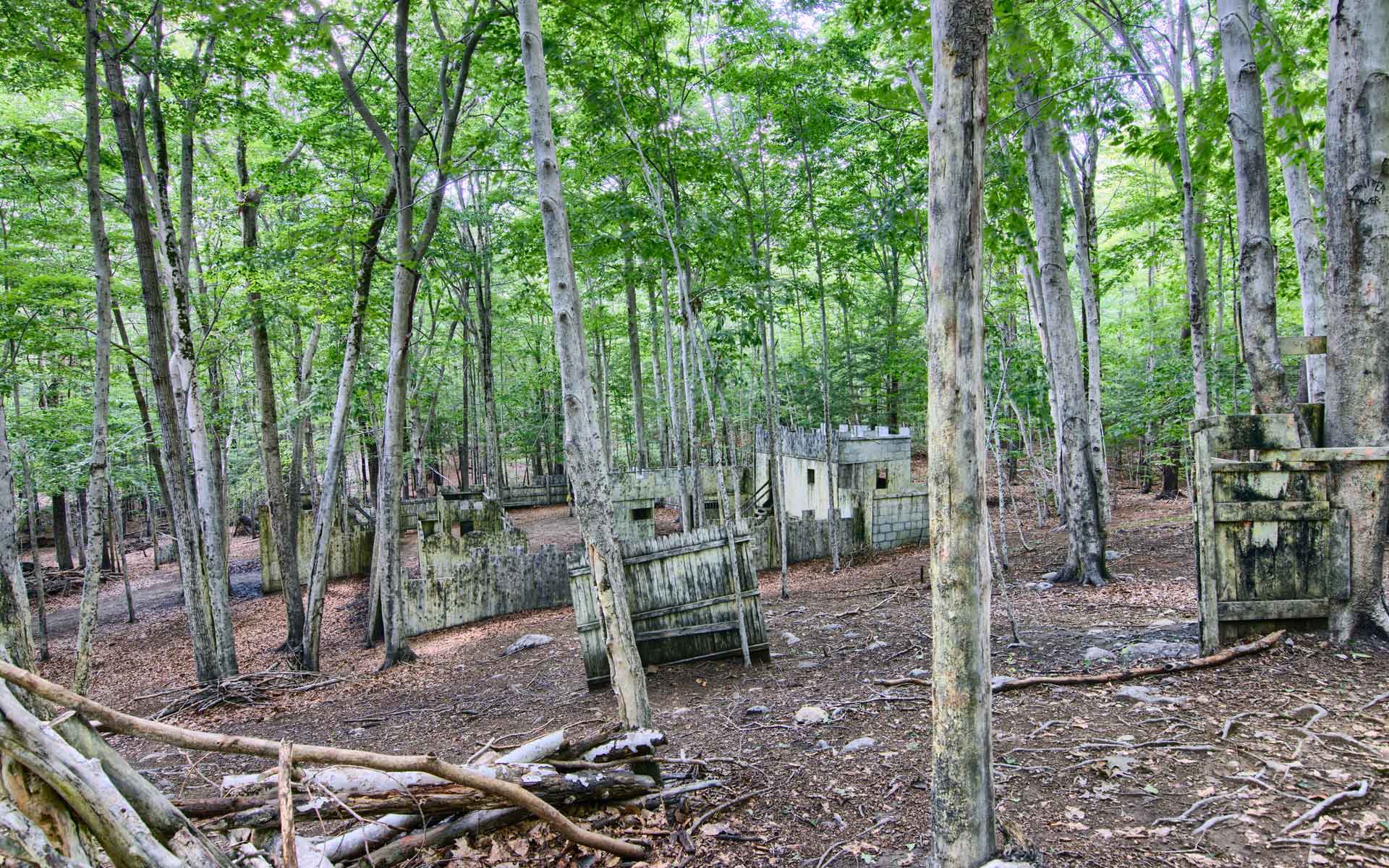 Paintball field in a forest, with wooden barriers and trees.